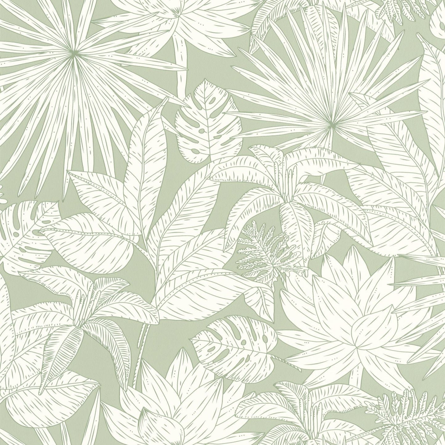 Odyssee Hawai Wallpaper - Vert D'eau - Caselio - 101437041