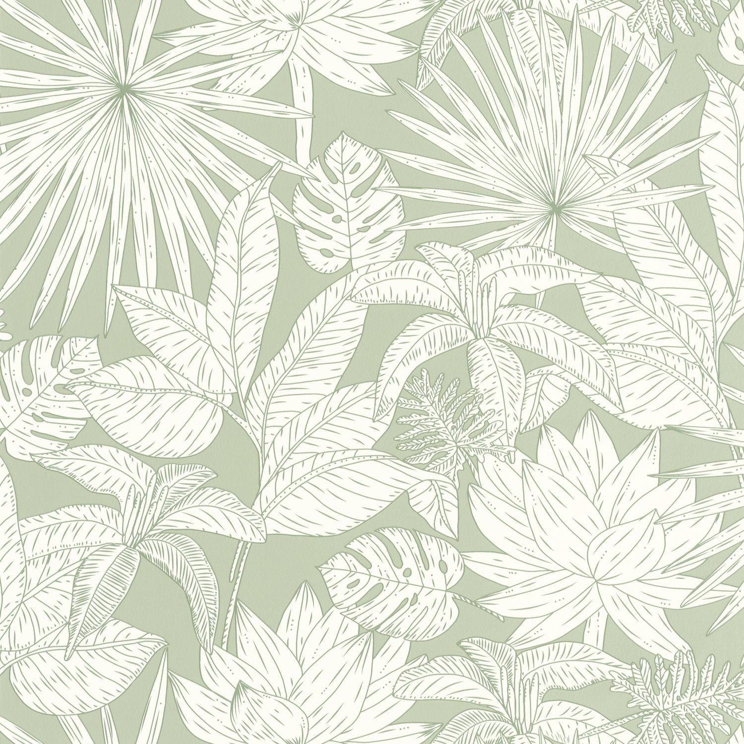 Odyssee Hawai Wallpaper - Vert D'eau - Caselio - 101437041