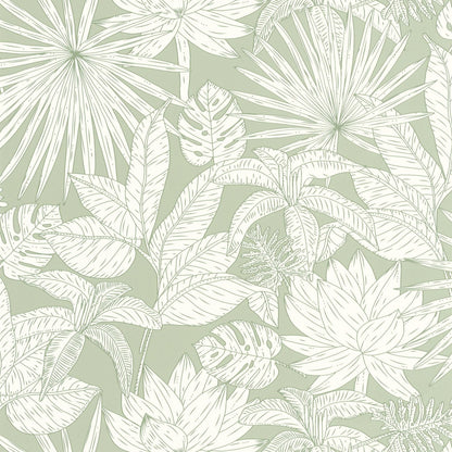 Odyssee Hawai Wallpaper - Vert D'eau - Caselio - 101437041