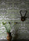 Open Season Wallpaper - Sage - Timorous Beasties - TB/OPSE/MICA/04 - Premier Wallcovering