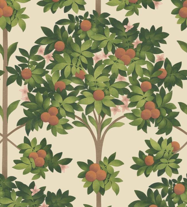Orange Blossom Wallpaper - Orange & Spring Green on Parchment - 117/1001 - Cole & Son - Premier Wallcovering