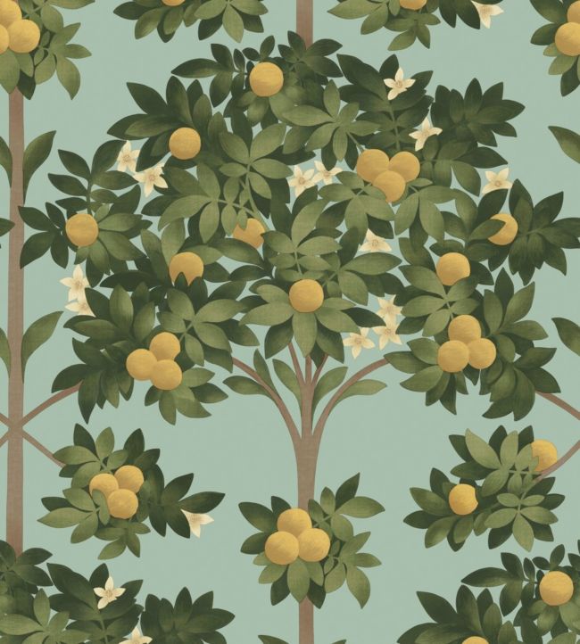Orange Blossom Wallpaper - Lemon & Dark Olive Green on Duck Egg - 117/1002 - Cole & Son - Premier Wallcovering