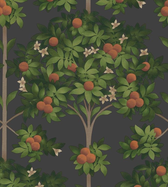 Orange Blossom Wallpaper - Orange & Spring Green on Black - 117/1003 - Cole & Son - Premier Wallcovering