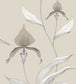 Orchid Wallpaper - Taupe & Parchment on Linen - 95/10058 - Cole & Son - Premier Wallcovering