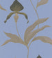 Orchid Wallpaper - Charcoal, Taupe & Metallic Gold on Hyacinth Blue - 66/4030 - Cole & Son - Premier Wallcovering