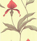 Orchid Wallpaper - Rouge & Olive Green on Soft Olive - 66/4033 - Cole & Son - Premier Wallcovering