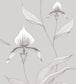 Orchid Wallpaper - White & Shell on Dove - 95/10055 - Cole & Son - Premier Wallcovering