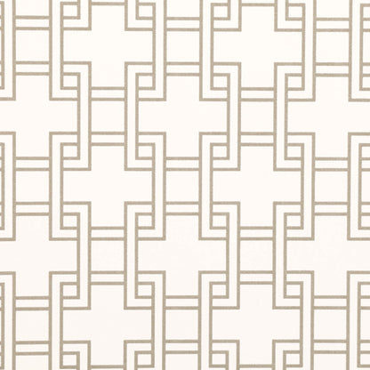 Orden Wallpaper - Whitewash - Romo - Lomasi - W401/01 - Premier Wallcovering