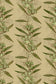 Oriental Orchid Wallpaper - Greens on Khaki - Timorous Beasties - EX/ORO/4002/03 - Premier Wallcovering