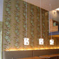 Oriental Orchid Wallpaper - Greens on Khaki - Timorous Beasties - EX/ORO/4002/03 - Premier Wallcovering