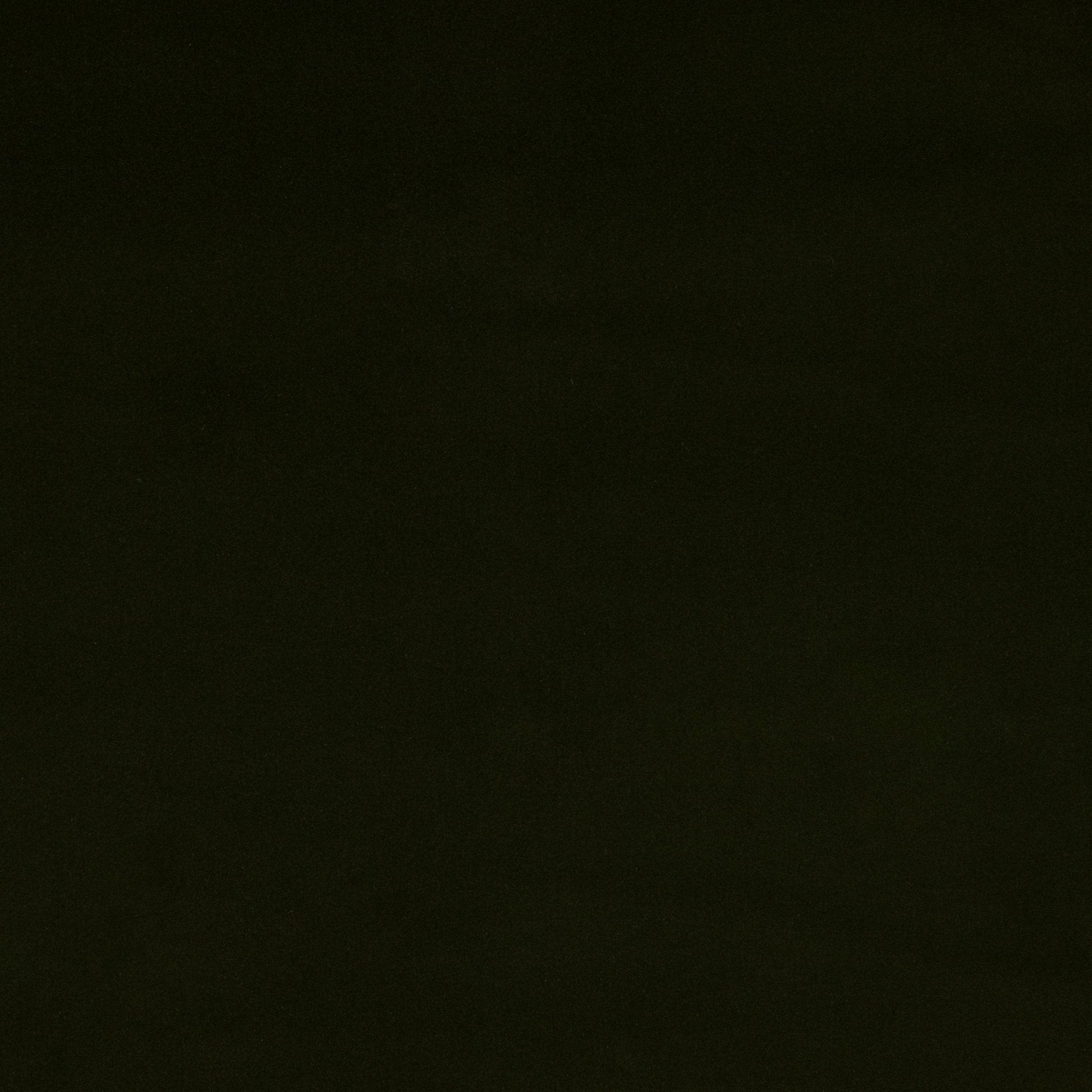 Orso Fabric - Sous Bois - Manuel Canovas - M4114-20 - Premier Wallcovering