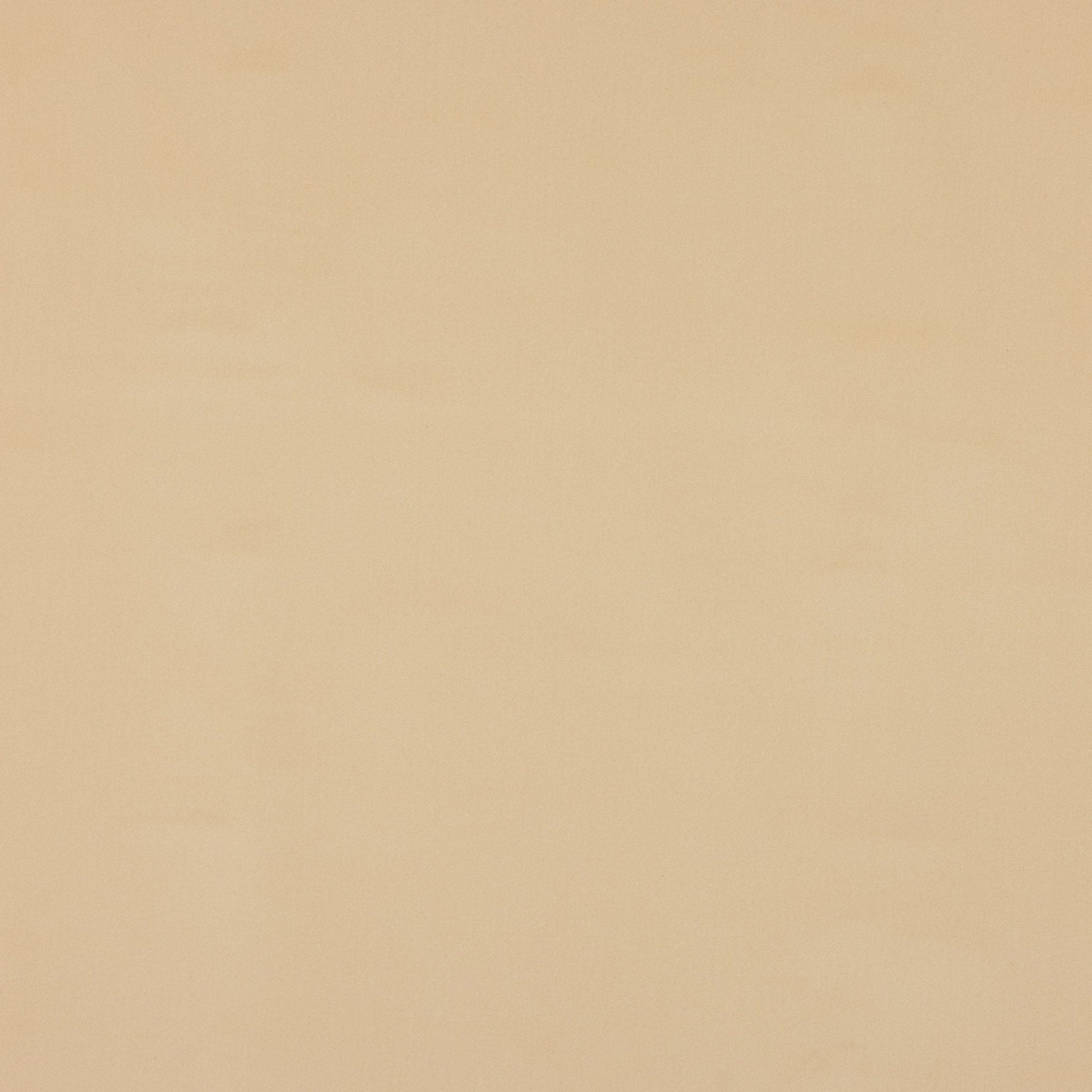 Orso Fabric - Beige - Manuel Canovas - M4114-22 - Premier Wallcovering