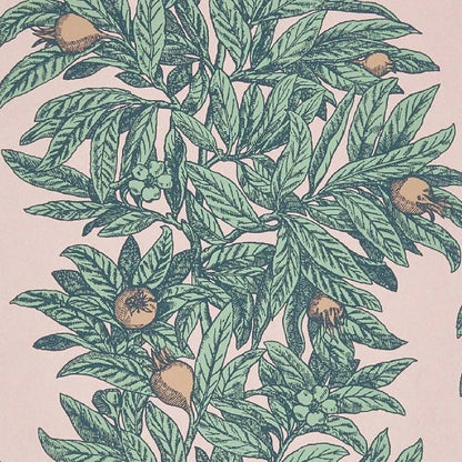 Medlar Wallpaper