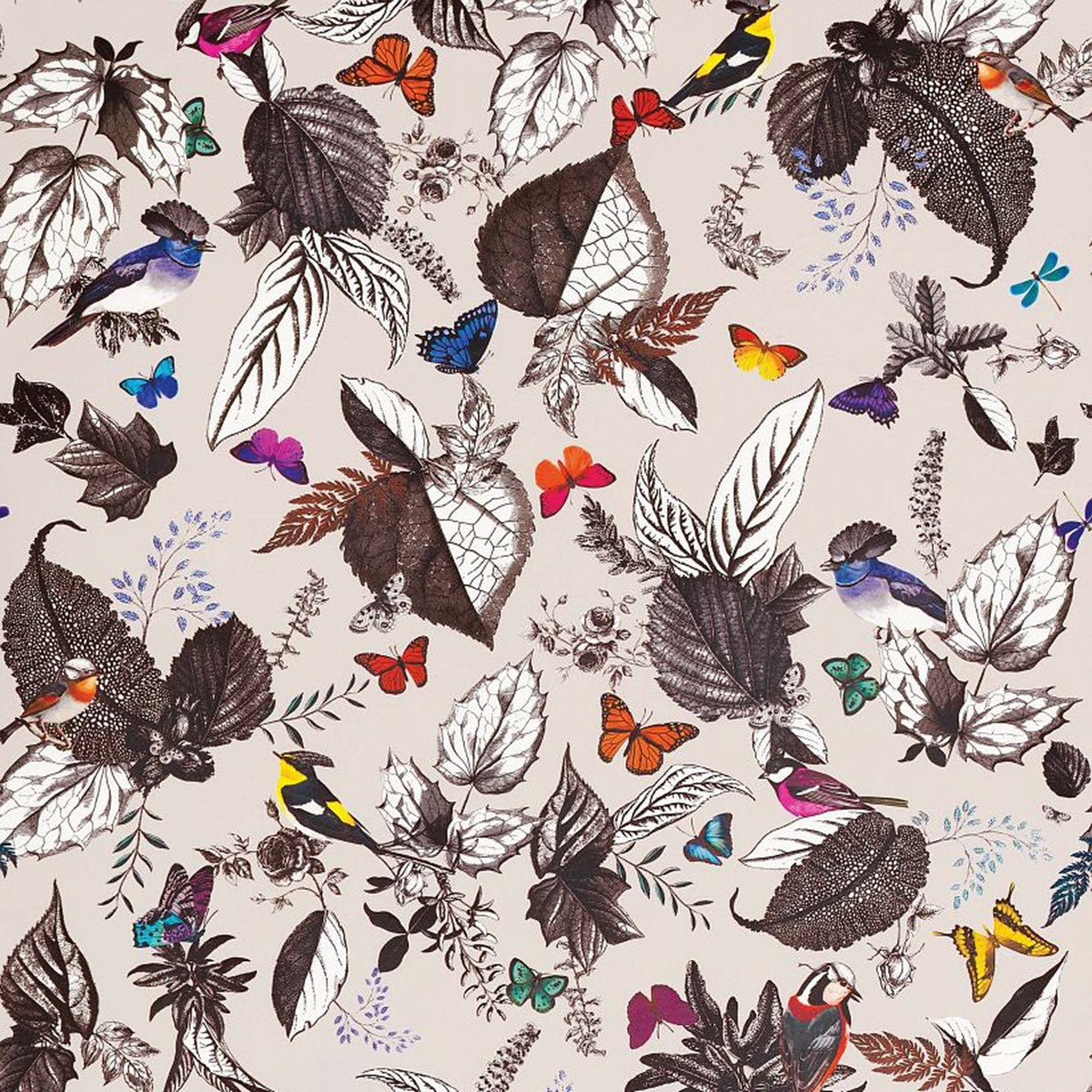Bird Song Wallpaper