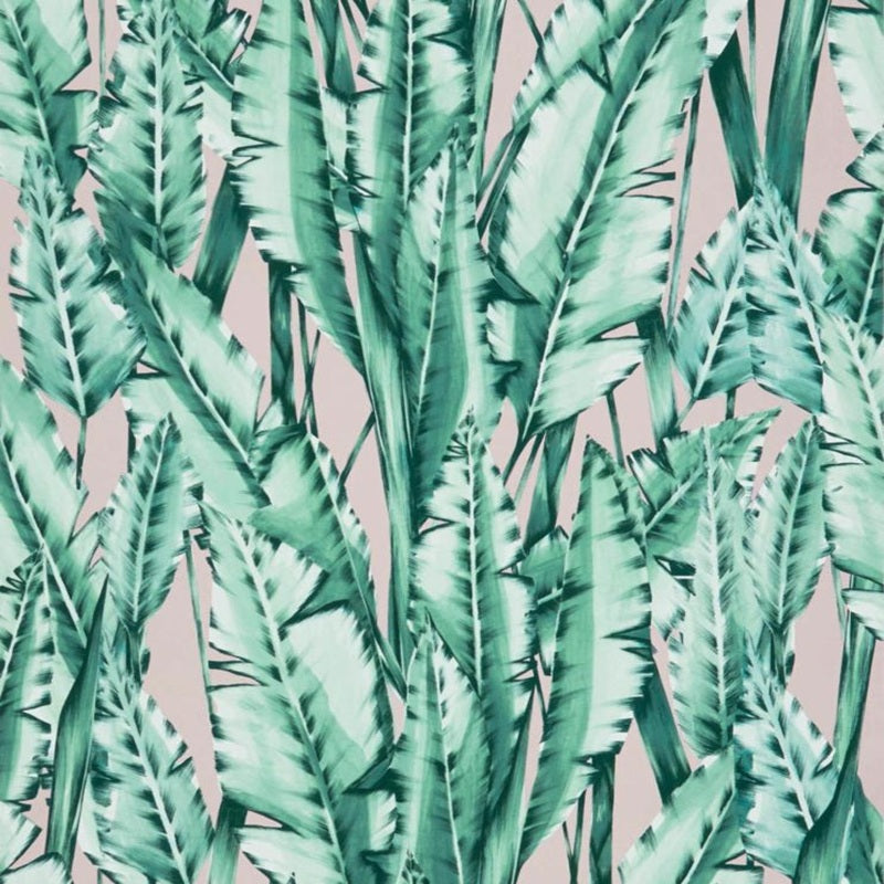 Tiger Leaf Wallpaper