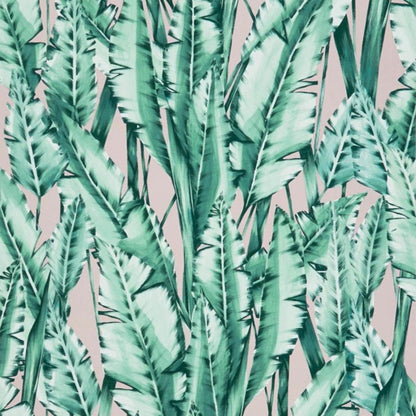 Tiger Leaf Wallpaper