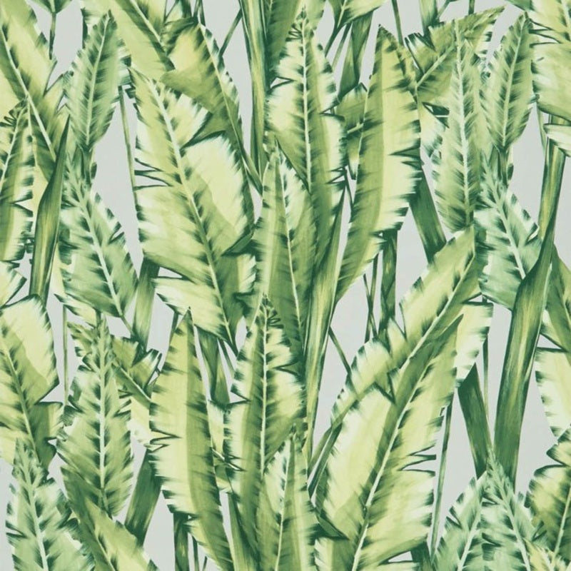 Tiger Leaf Wallpaper