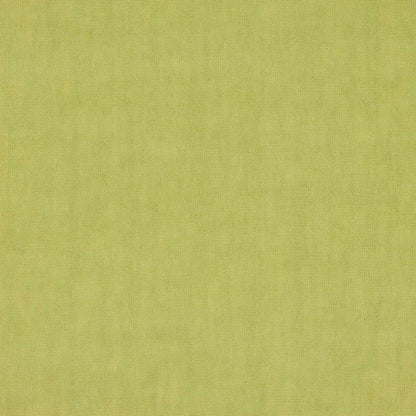 Oscar Fabric - Pistache - Manuel Canovas - M4112-36 - Premier Wallcovering