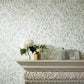 Osier Wallpaper - Dove/Chalk - Sanderson - DDAM216408