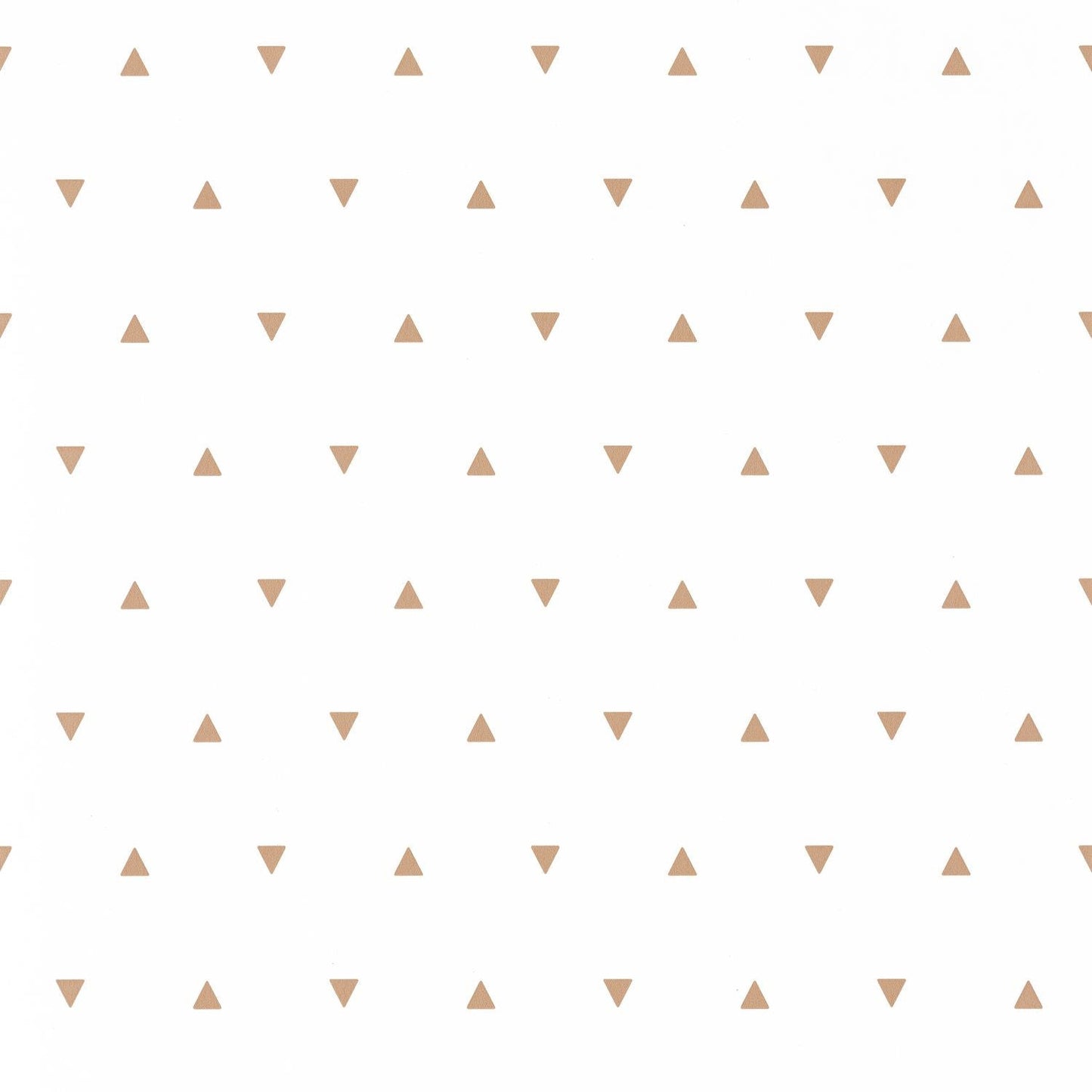 Our Planet Bermuda Triangle Wallpaper - Beige - Caselio - 101991111