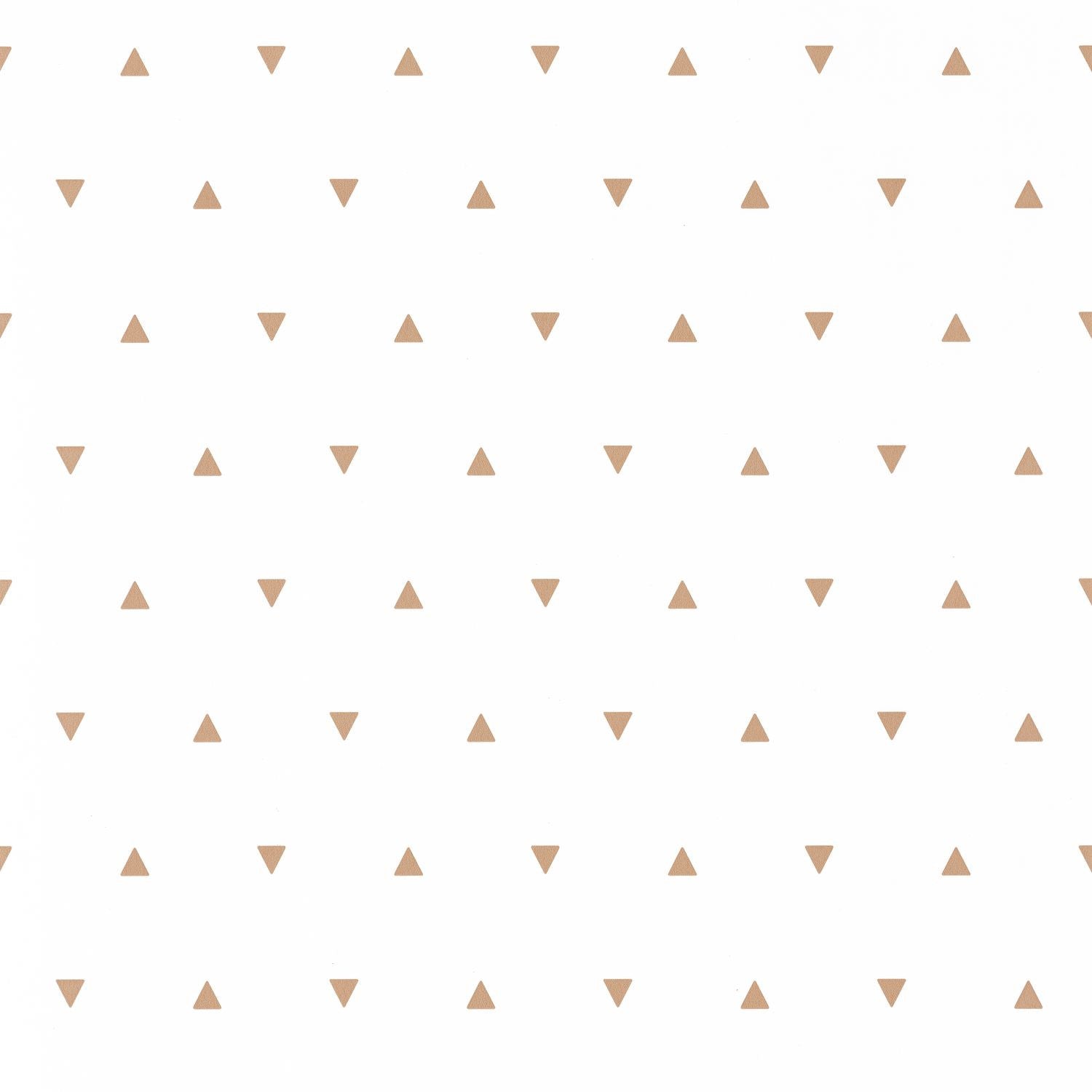 Our Planet Bermuda Triangle Wallpaper - Beige - Caselio - 101991111