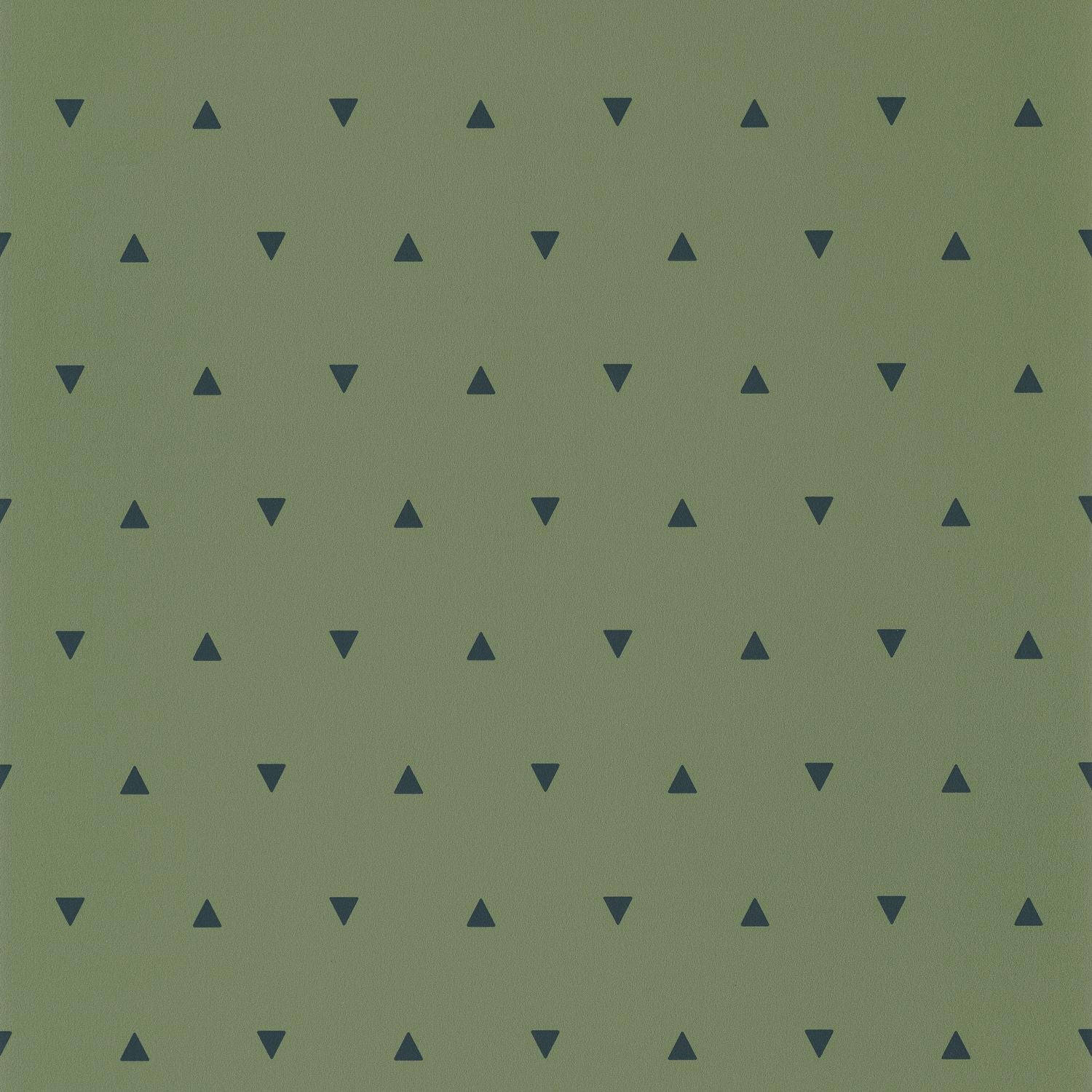 Our Planet Bermuda Triangle Wallpaper - Vert Kaki - Caselio - 101997400