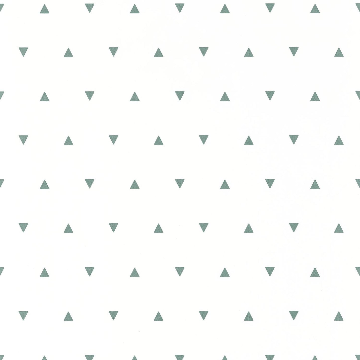 Our Planet Bermuda Triangle Wallpaper - Vert D'eau - Caselio - 101997101