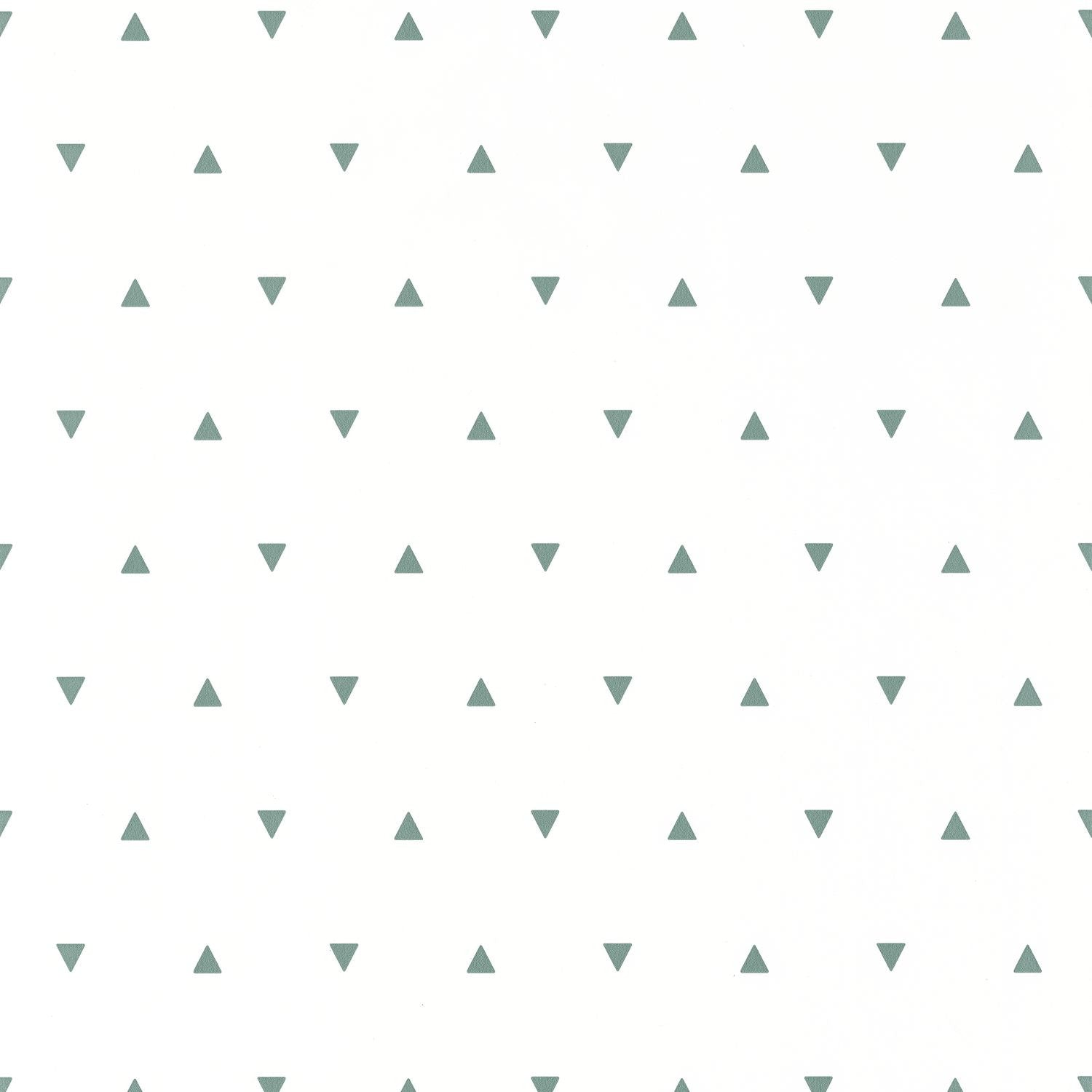 Our Planet Bermuda Triangle Wallpaper - Vert D'eau - Caselio - 101997101