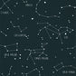 Our Planet Constellations Wallpaper - Bleu Nuit - Caselio - 101916918