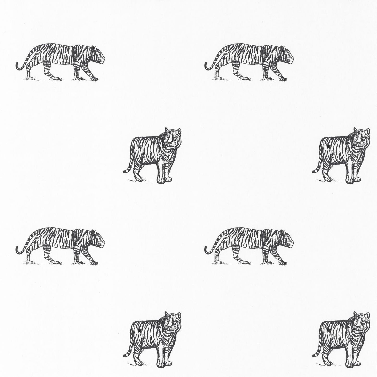 Our Planet Eye Of The Tiger Wallpaper - Noir Et Blanc - Caselio - 101969916