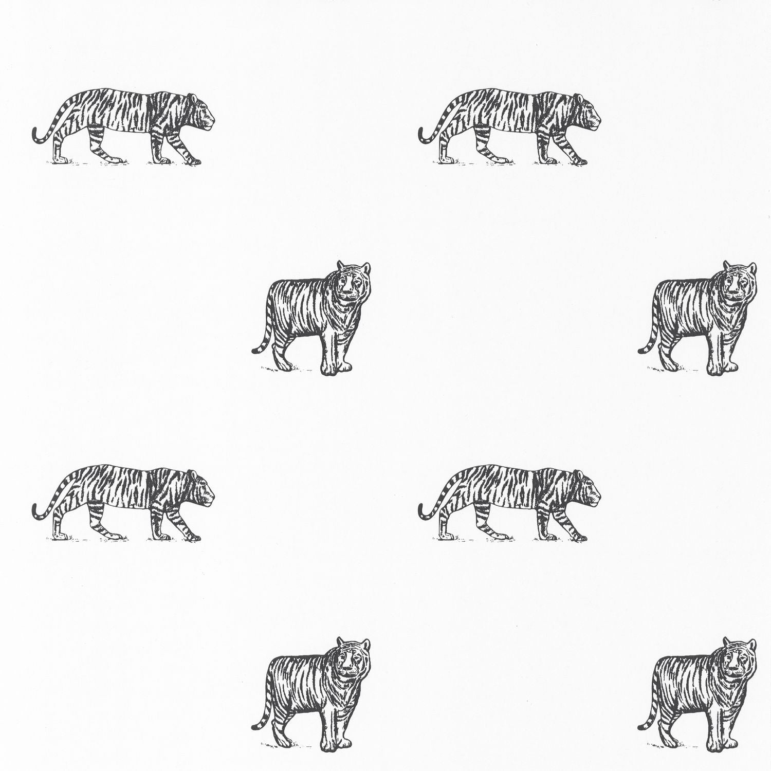 Our Planet Eye Of The Tiger Wallpaper - Noir Et Blanc - Caselio - 101969916