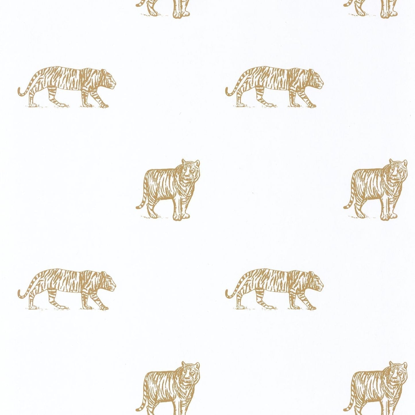 Our Planet Eye Of The Tiger Wallpaper - Blanc - Caselio - 101962105
