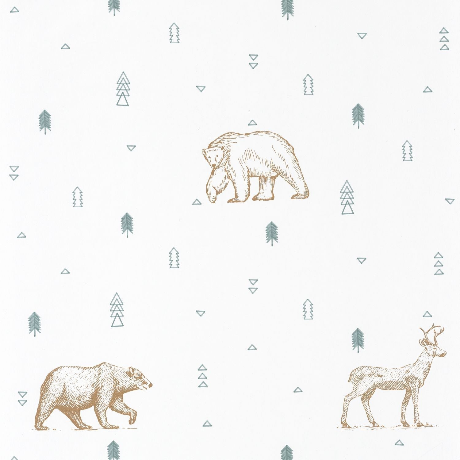 Our Planet Grizzly Bears Wallpaper - Beige - Caselio - 101987112