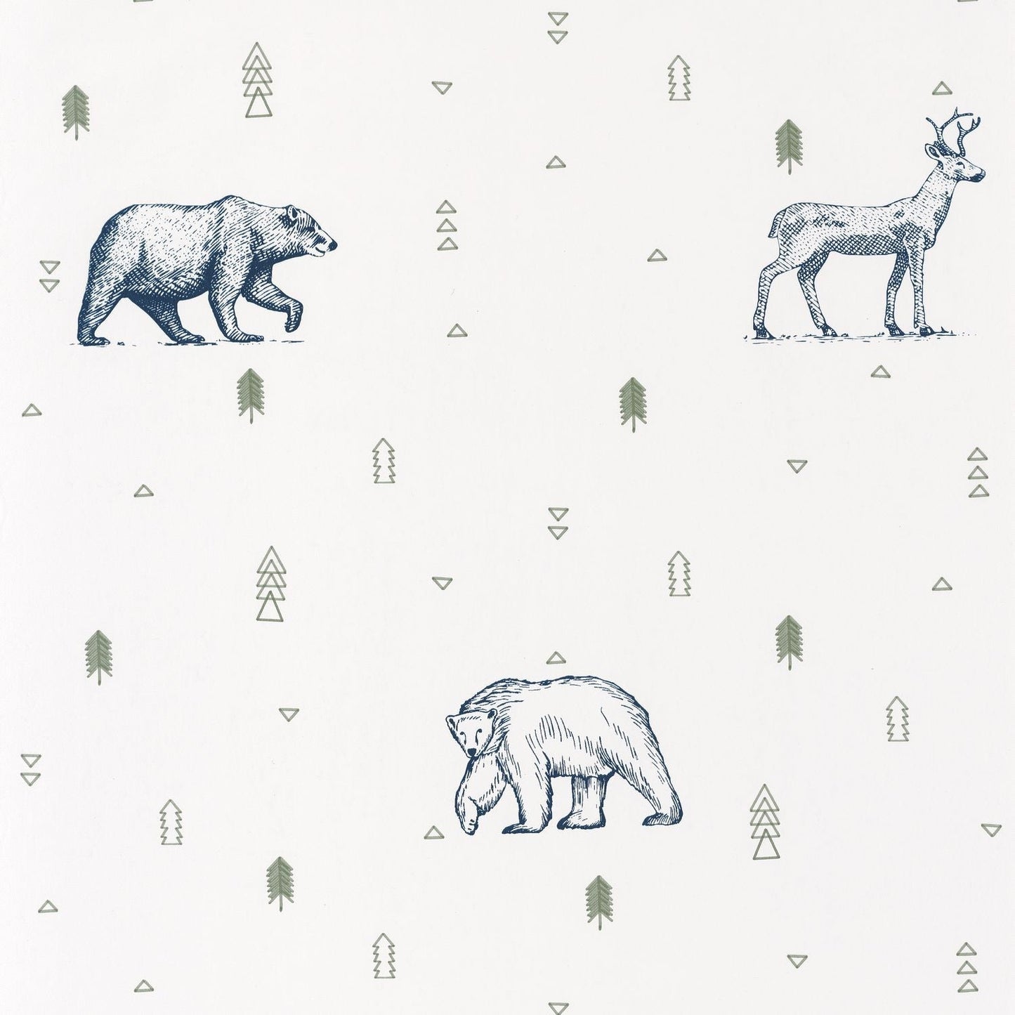 Our Planet Grizzly Bears Wallpaper - Bleu Nuit - Caselio - 101987403