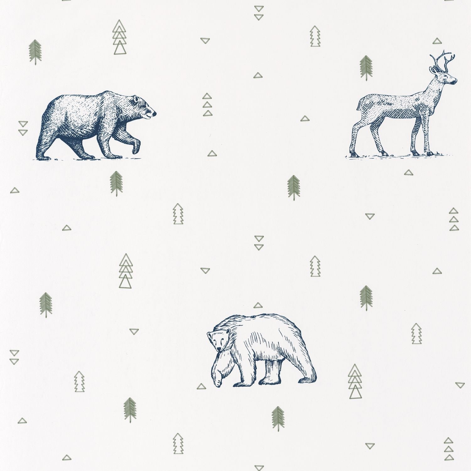 Our Planet Grizzly Bears Wallpaper - Bleu Nuit - Caselio - 101987403