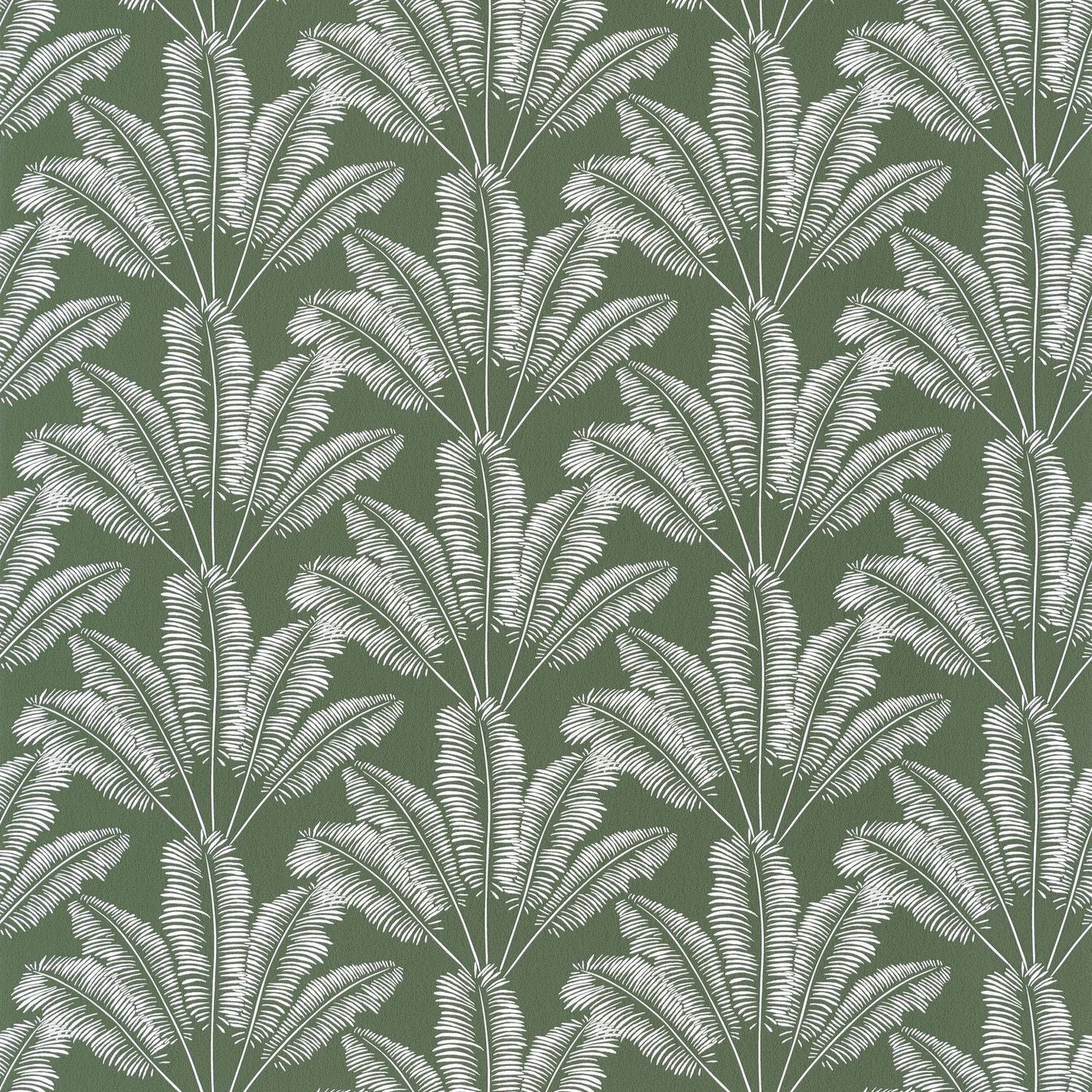 Our Planet Savannah Wallpaper - Vert Kaki - Caselio - 101947408