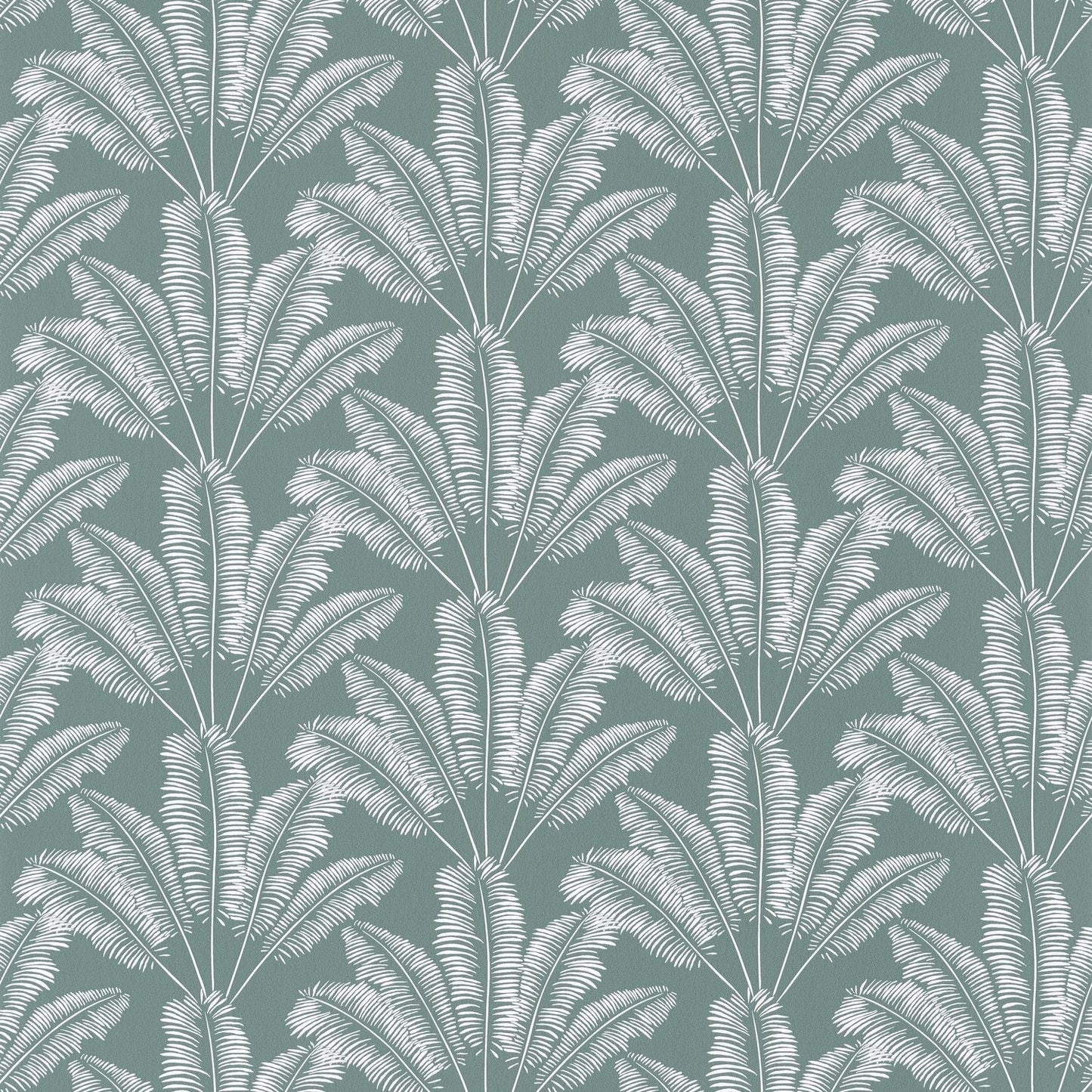 Our Planet Savannah Wallpaper - Vert D'eau - Caselio - 101947127