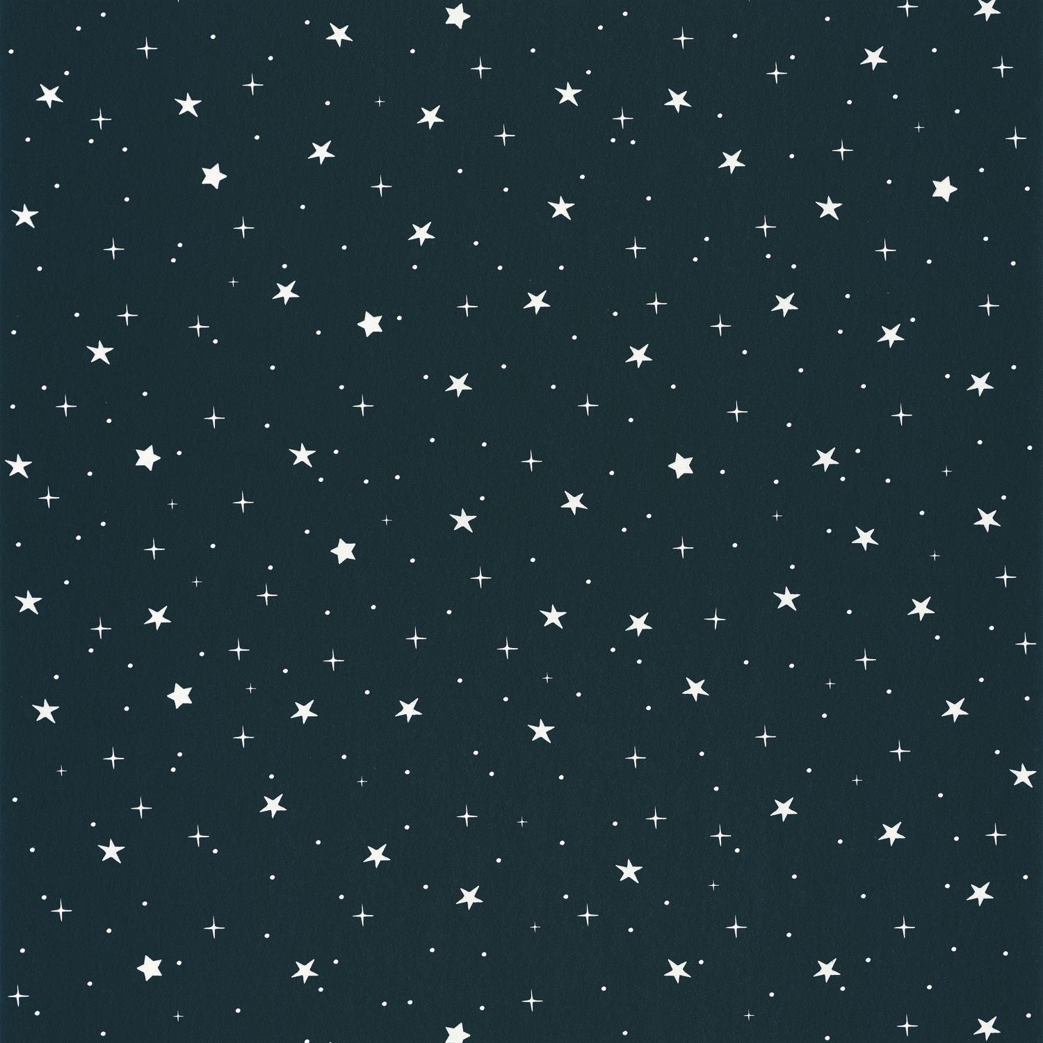 Our Planet Stars In Your Eyes Wallpaper - Bleu Nuit - Caselio - 101926918