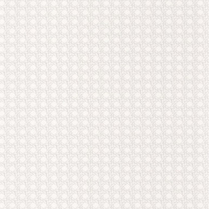 Paja Wallpaper - Blanc - Casadeco - 84340033 - Premier Wallcovering