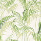 Palm House Wallpaper - Botanical Green - Sanderson - DGLW216643