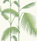 Palm Leaves Wallpaper - Olive Green on White - 95/1009 - Cole & Son - Premier Wallcovering