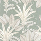 Palma Nicaragua Wallpaper - Vert Amande - Casadeco - 86417272 - Premier Wallcovering