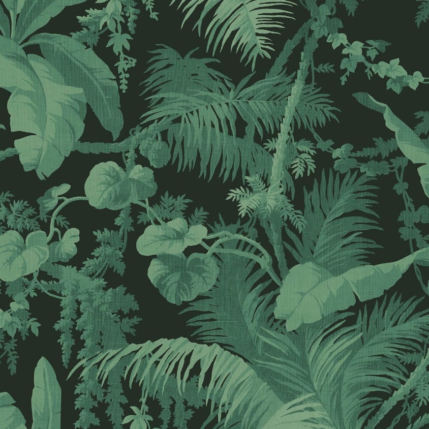 Pampas Wallpaper - Noir - House of Hackney - 1-WA-PAM-DI-NOI-XXX