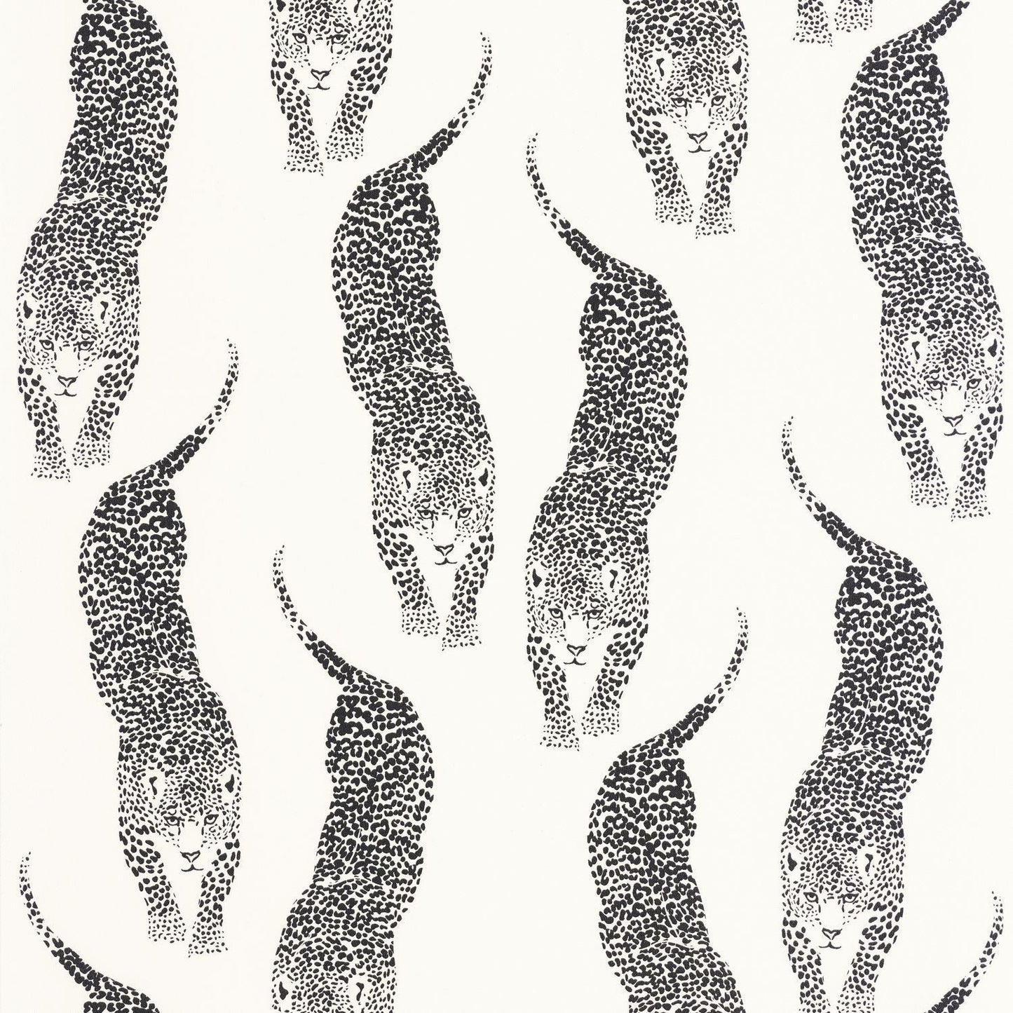 Panthera Wallpaper - Blanc Noir - Caselio - 104920995