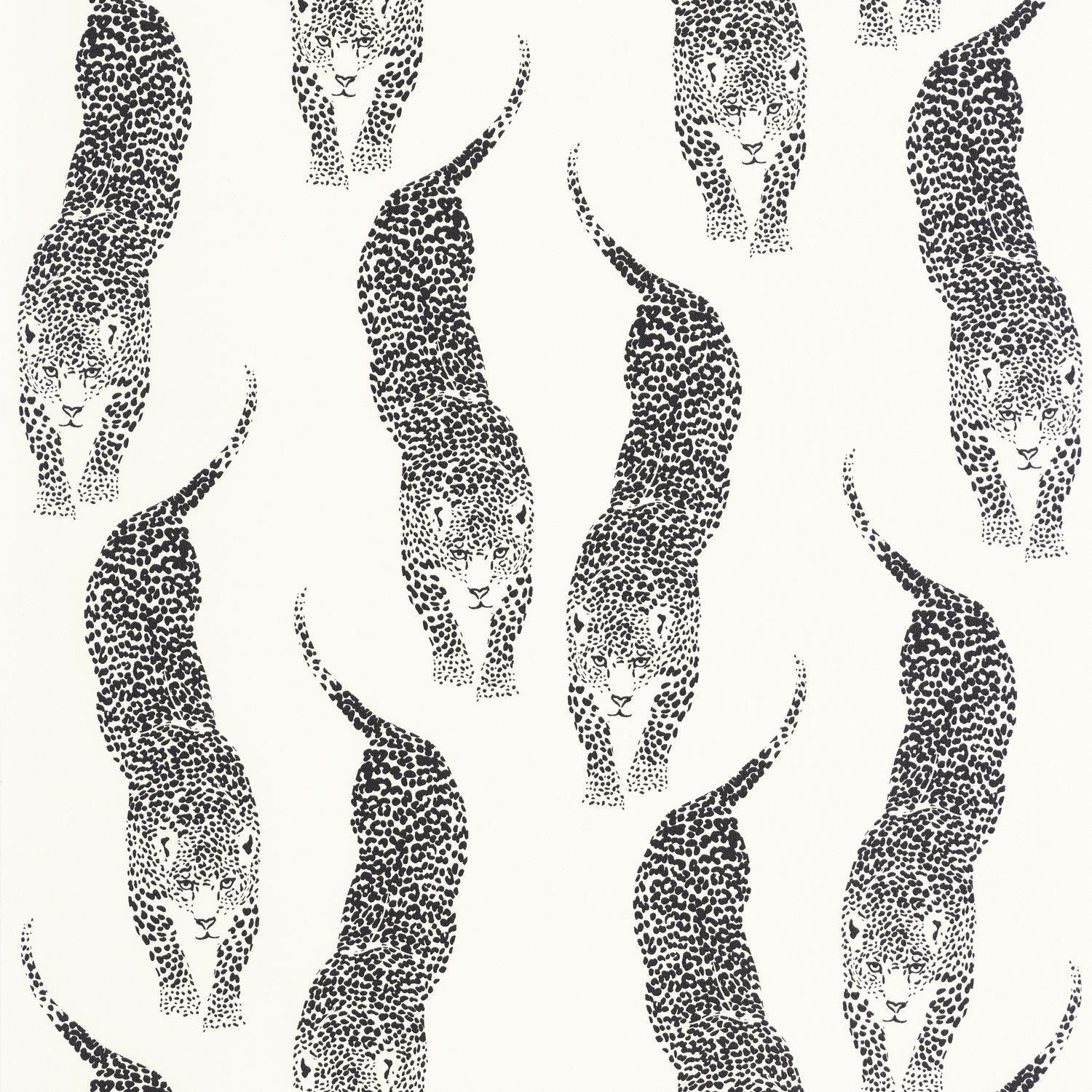 Panthera Wallpaper - Blanc Noir - Caselio - 104920995