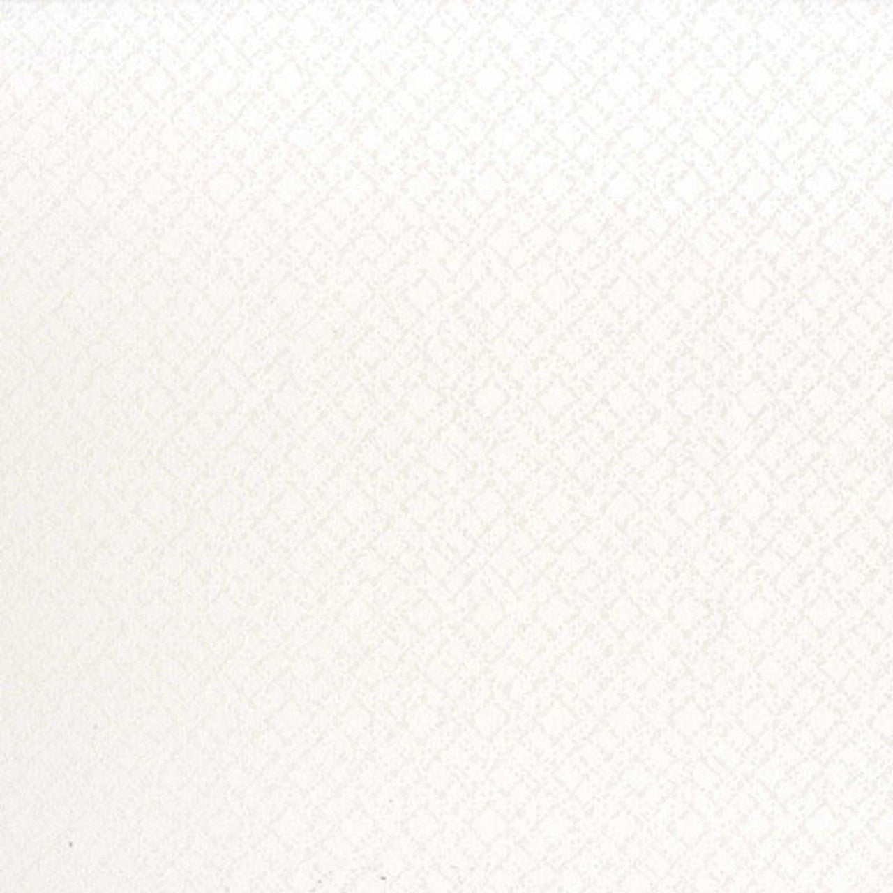 Paolo Wallpaper - Blanc - Casadeco - 80620202 - Premier Wallcovering