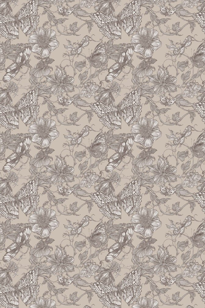 Papillon Wallpaper - Mochi - Timorous Beasties - BTN/PAP/TXMT/02 - Premier Wallcovering