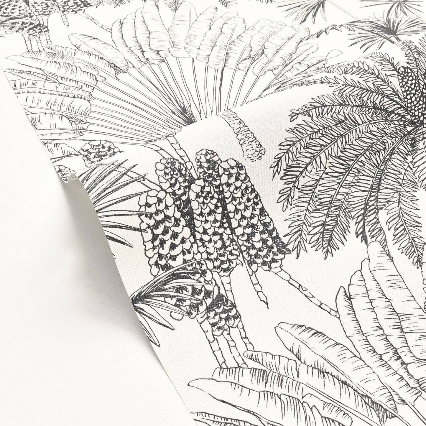 Paradisia Wallpaper - Blanc Noir - Caselio - 104330956