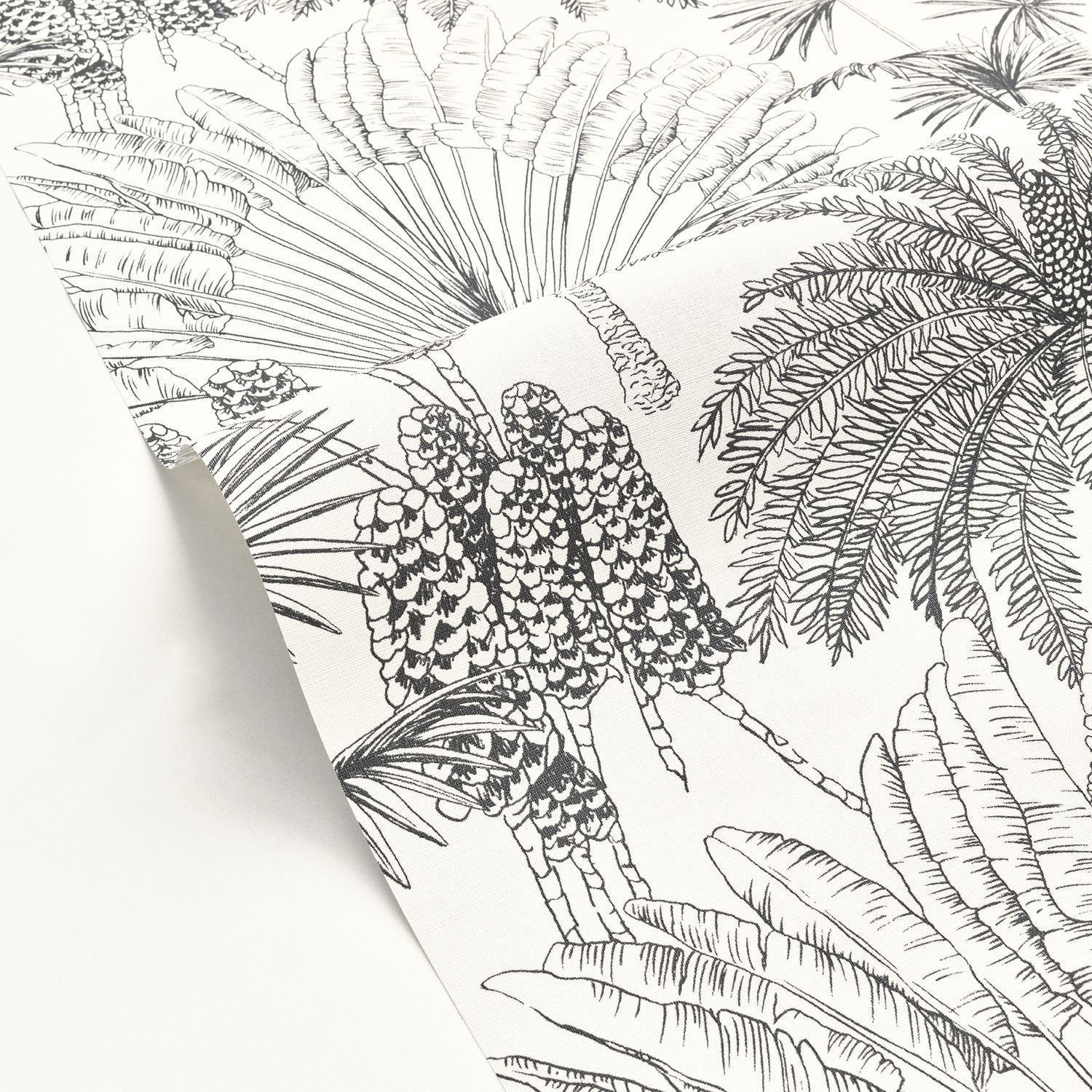 Paradisia Wallpaper - Blanc Noir - Caselio - 104330956