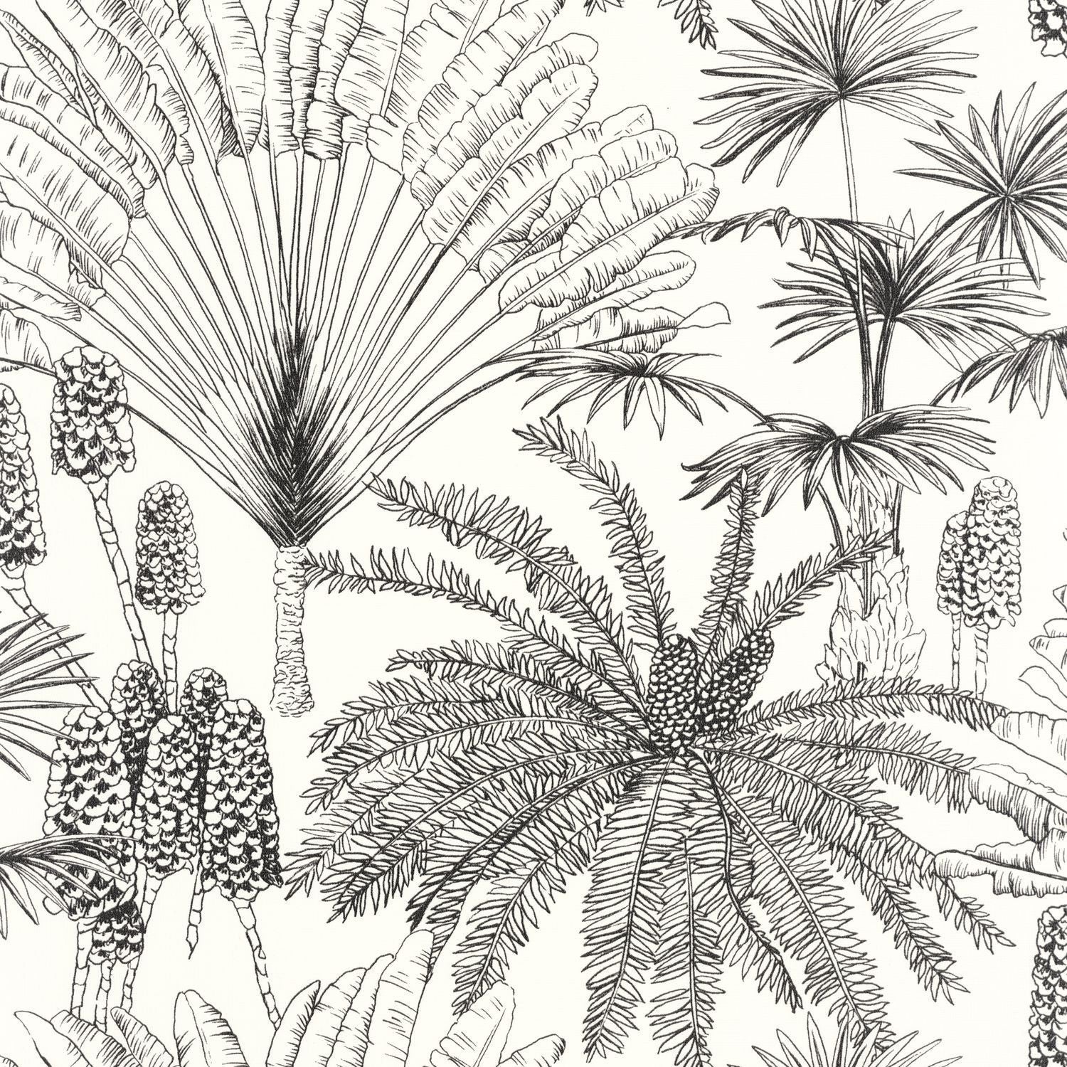 Paradisia Wallpaper - Blanc Noir - Caselio - 104330956